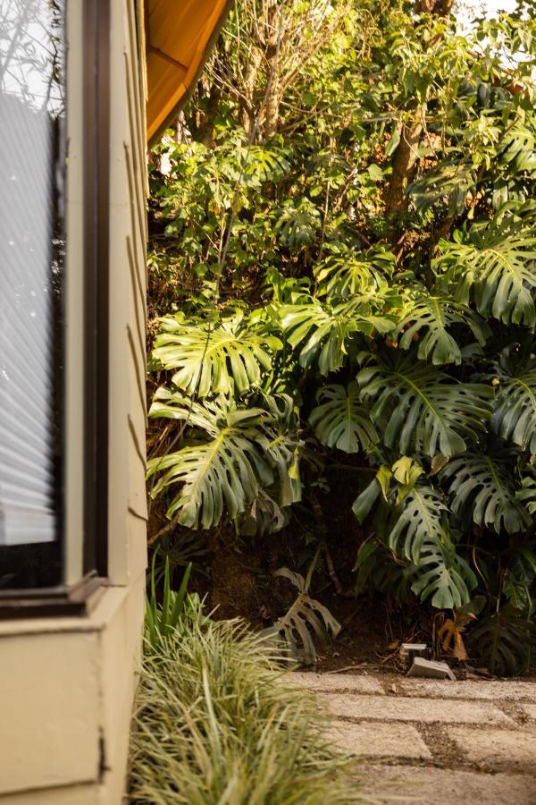 Gamai Monteverde Tiny House Exteriér fotografie